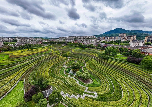 1754012999598033887.jpeg 4 - 副本.jpeg