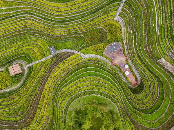 1754013038431022851.jpeg 5.jpeg