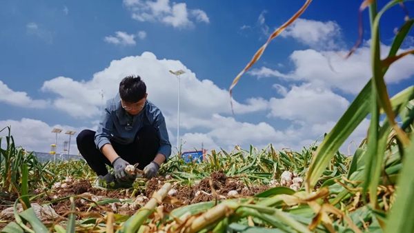 1754985344570086751.jpg 济宁英文网_600.jpg