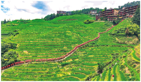 1754471213536071491.jpg 02_02_4354.jpg