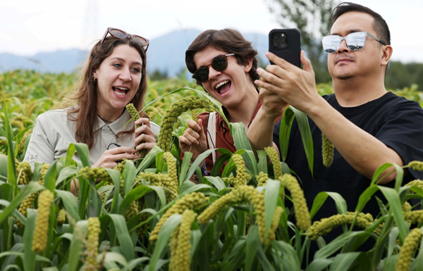 1756358979438097209.jpg 农业论坛1_副本.jpg