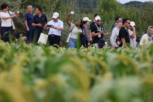 1756359014006068327.jpg 农业论坛2_副本.jpg