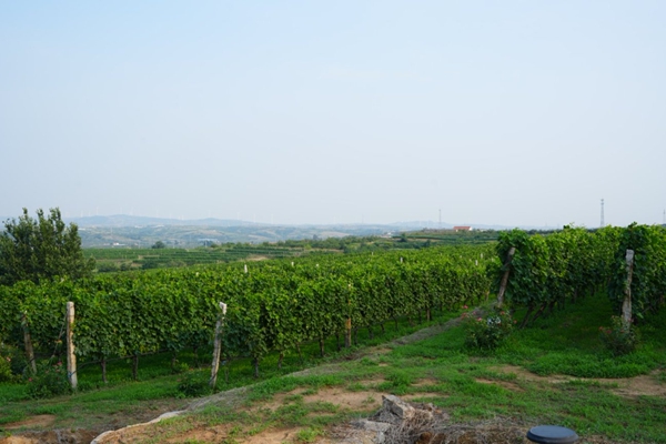 1754552925565072206.jpg 1754545614955096653.jpg