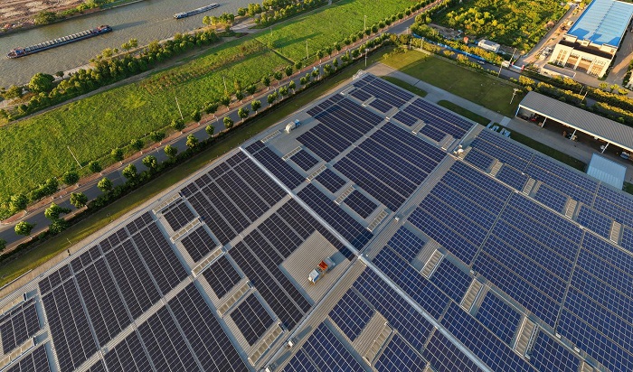 1756705624874064760.jpg 4bd8708b-835c-48de-b167-e377388827c0_l.jpg