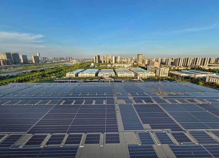 1756705639610096051.jpg a1e54c61-e551-43fb-a135-6c0024732183_l.jpg