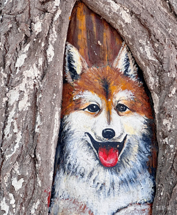 1757060379349053636.jpg 图片11.jpg