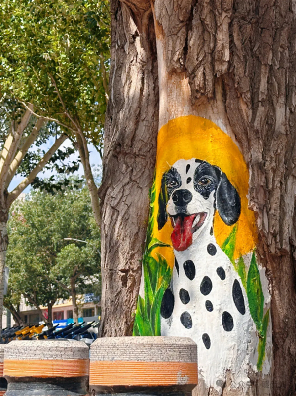 1757060405184057975.jpg 图片12.jpg