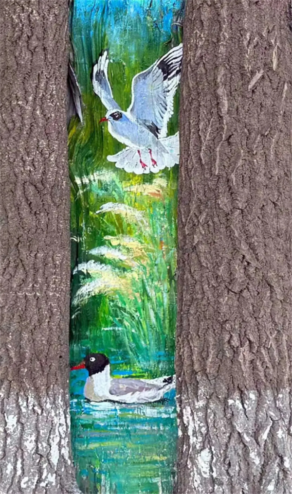 1757060432309041660.jpg 图片13.jpg