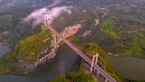 1755741996555035213.jpeg 1.jpeg