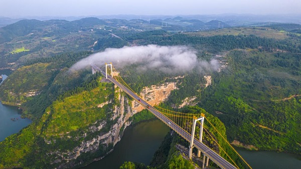 1755742012712062400.jpeg 3.jpeg