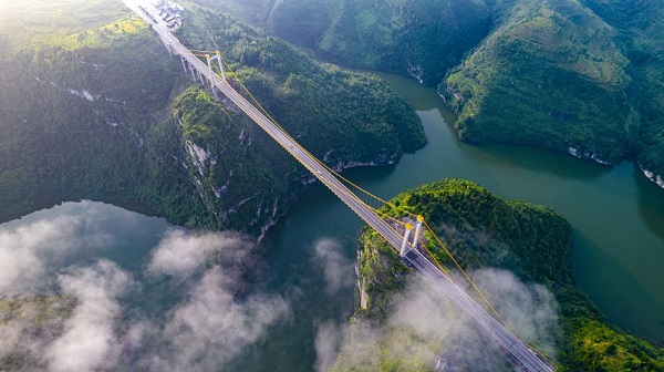 1755742029175025282.jpeg 5.jpeg