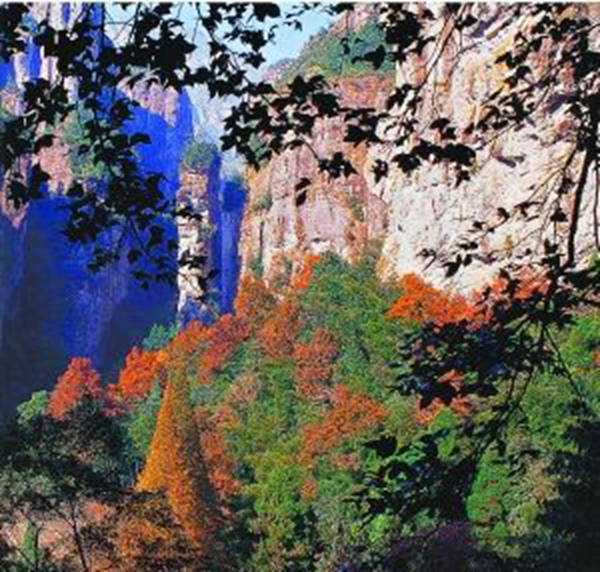 1511422552838077872.jpg update2.jpg