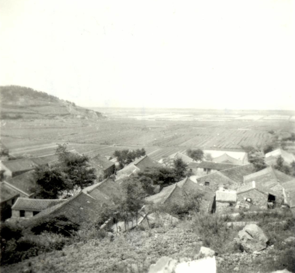 1756884399270054794.png zs2_副本.png