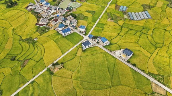 1758594514415039566.jpeg 1 - 副本.jpeg