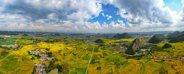 1758594521356022098.jpeg 2 - 副本.jpeg