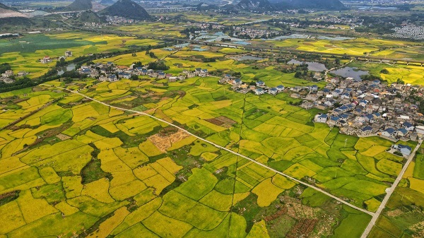 1758594528859084407.jpeg 3 - 副本.jpeg