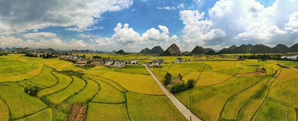 1758594536717013229.jpeg 4 - 副本.jpeg