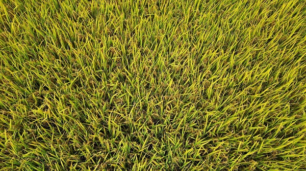 1758594543475063909.jpeg 5.jpeg