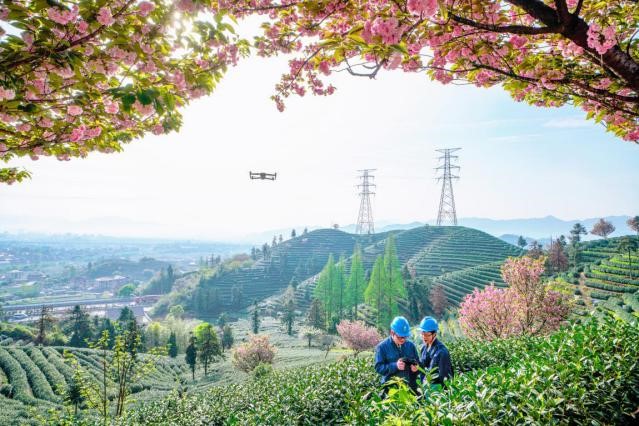 1757670949843073017.jpg Grid.jpg