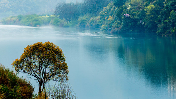 1757661220931066539.jpg 1_副本.jpg