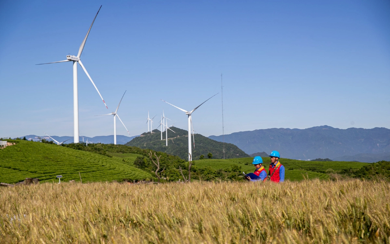 1757586404994068682.jpg 68b563eca3108622d640b670.jpg