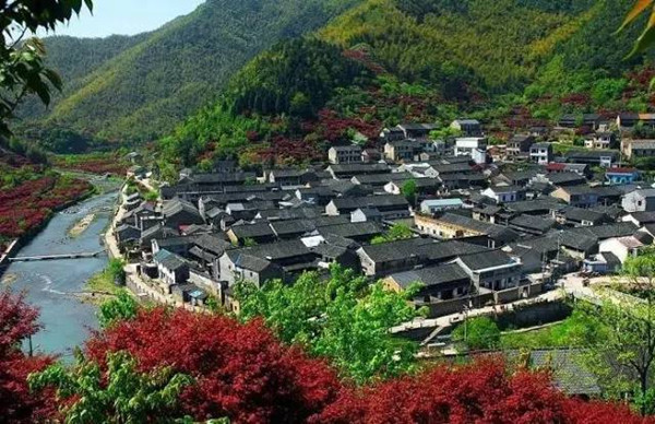 1536886847471035226.jpg 四明山镇.jpg