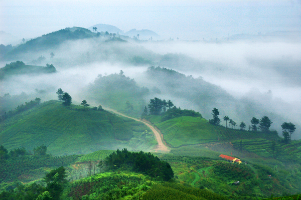 1536886920123087109.jpg 大岚镇.jpg