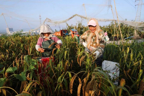 1759054610327015085.jpg 1.jpg