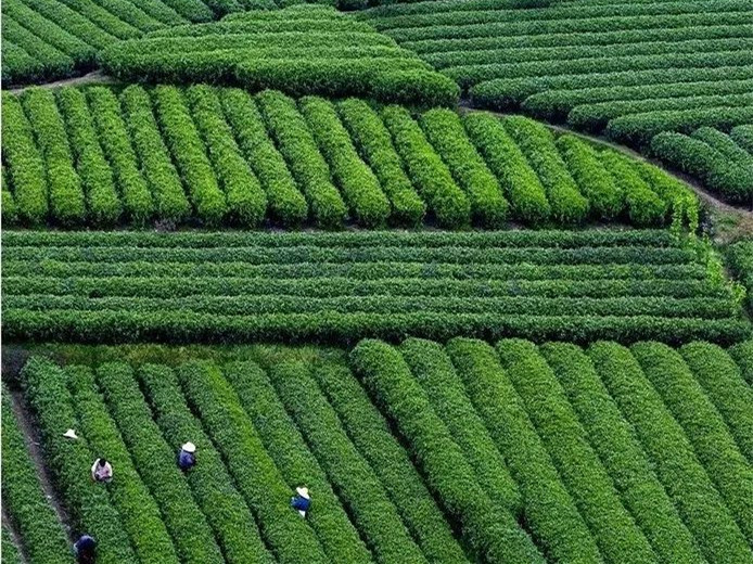 1757403708356038629.jpg 1_副本.jpg