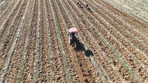 1761039798782029187.jpg 图片13.jpg