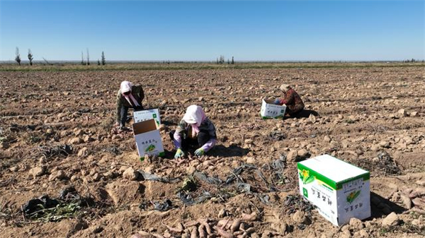 1761039872105044992.jpg 图片14.jpg