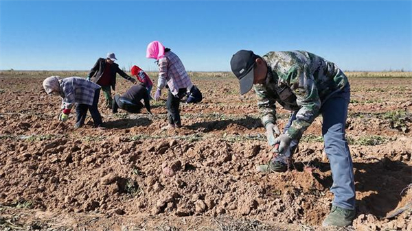 1761039896692083801.jpg 图片15.jpg