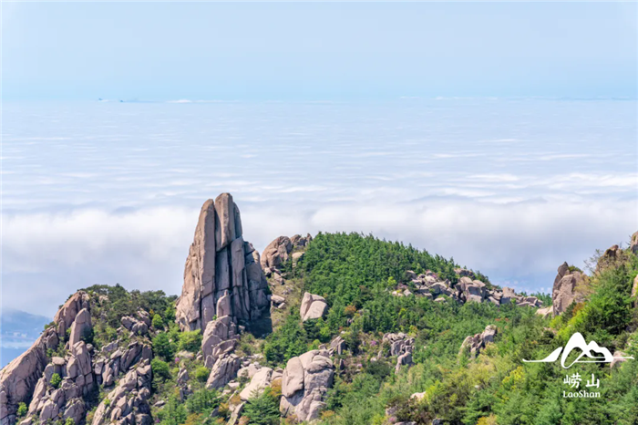 1761794190321008179.png 27-QD-8.webp_副本.png