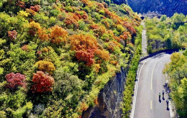 1760688940761021667.jpg 640.jpg