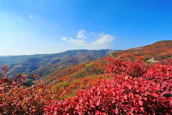 1761212555976066617.jpg 1.jpg