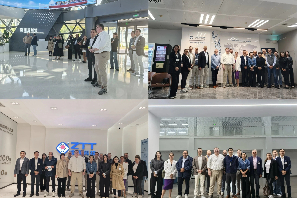 1763622963076057466.jpg netda 600.jpg