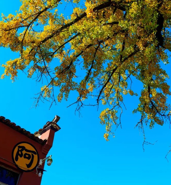 1764924108218009339.jpg 2-3_副本.jpg