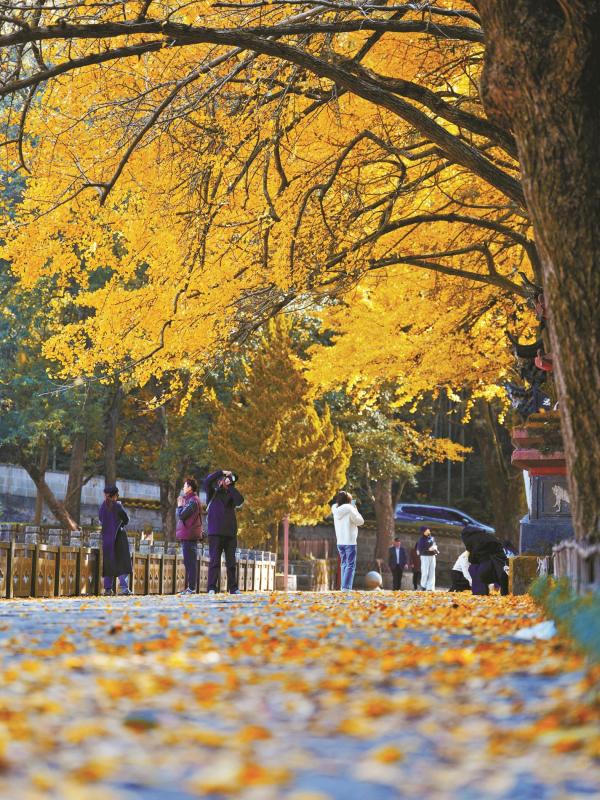 1764150556712067921.jpg 00301129293_edcc5395.jpg