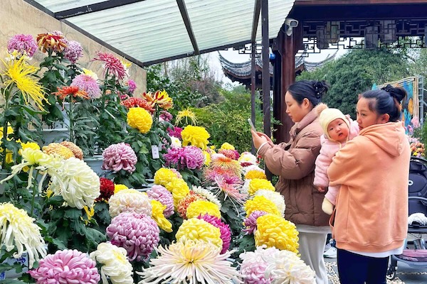 1764153739599088253.jpg d8720752-84de-4082-a431-883d2862b249.jpg