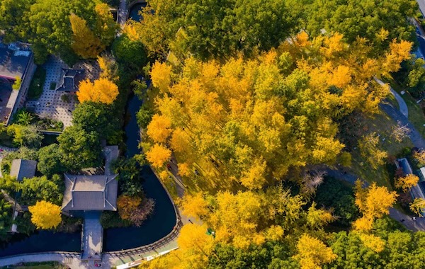 1764580016903073662.jpg 22c0d3f2-aee0-4c0f-92da-a4dfbd55415e.jpg