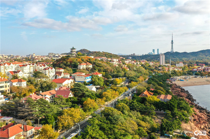 1764239776813007989.jpg 10-青岛秋景-2_副本.jpg