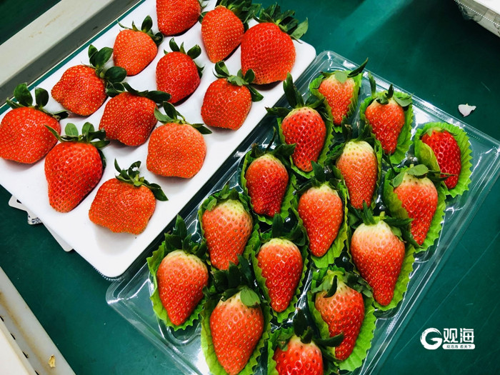 1764831835384001520.jpg 04-QD-1_副本.jpg