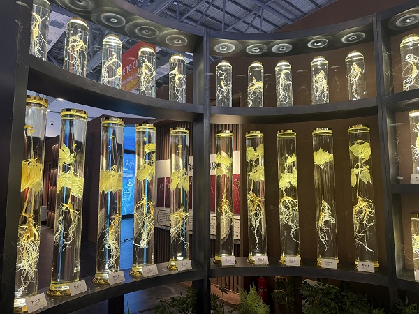 1765177438548043145.jpg 吉网1.jpg