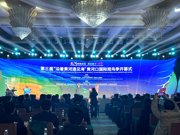 1763358968315016794.png 山东1.png