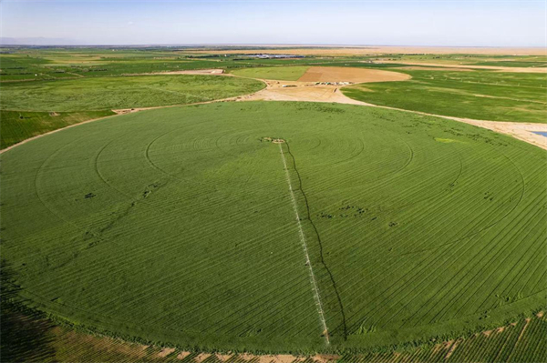 1762925753431094342.jpg 图片6.jpg