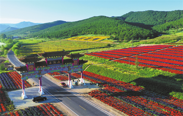 1764064637529026693.jpg 6924fe87a310d68600f2e219.jpg