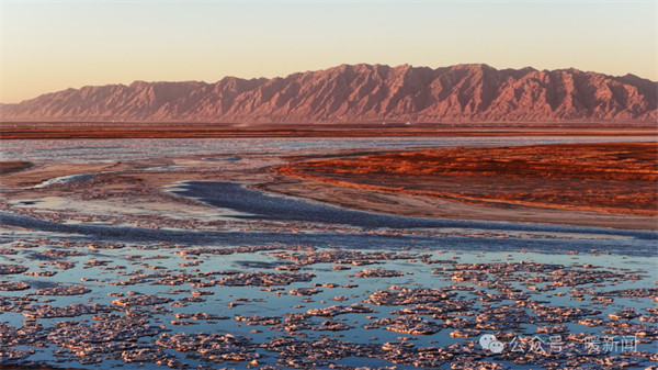 1765186937594073004.jpg 33.jpg