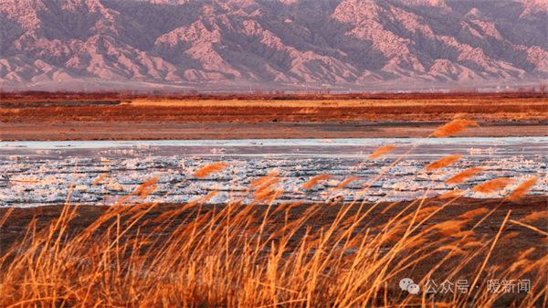 1765186959225019780.jpg 44.jpg