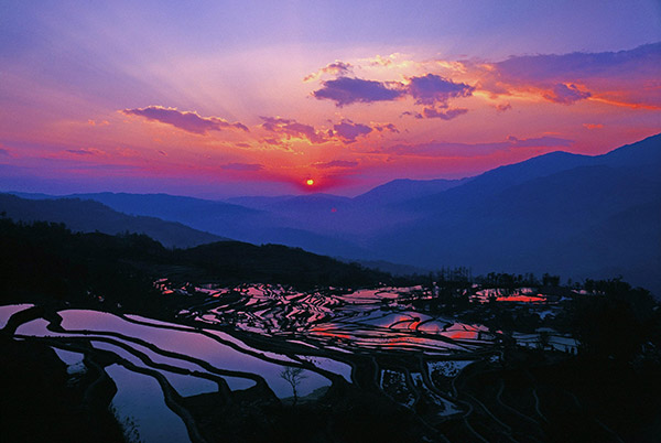 1531191304090035040.jpg 红河哈尼.jpg