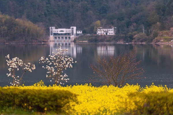 1676280505964008420.jpg 宏村.jpg